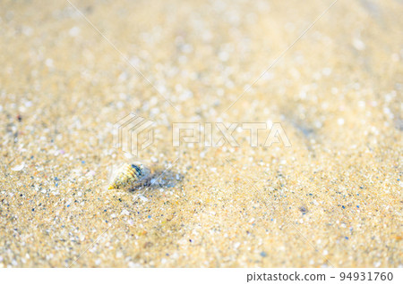 試圖潛入沙灘的貝類 | 淡路島海灘 試圖潛入沙灘的貝類 | 淡路島海灘 94931760