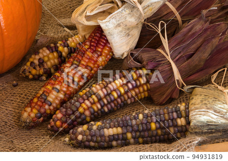 dried corn on the cob burlap bag dry organic vegetarian food thanksgiving dried corn on the cob burlap bag dry organic vegetarian food thanksgiving 94931819