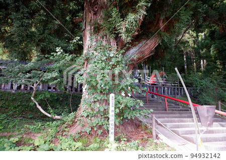 Goza no Ishi no Sugi by Lake Tazawa Goza no Ishi no Sugi by Lake Tazawa 94932142