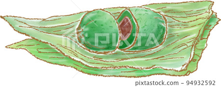 Bamboo dumpling _ open state _ cross section 94932592