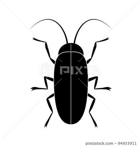 Illustration of a cockroach Illustration of a cockroach 94933911