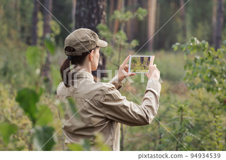 A woman forester in uniform take a photo using a digital tablet in a forest area in summer, back view, selective focus. 94934539