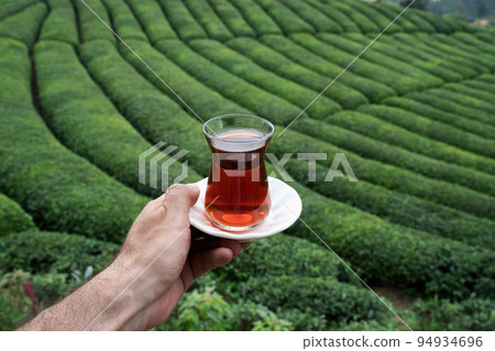 hand holding a glass of Turkish black tea with rows of tea plantations on terraced hills 94934696