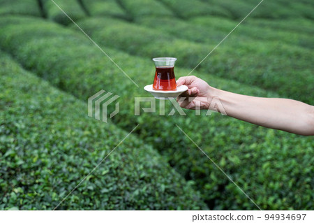hand holding a glass of Turkish black tea with rows of tea plantations on terraced hills hand holding a glass of Turkish black tea with rows of tea plantations on terraced hills 94934697