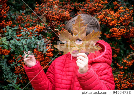 The boy looking through the hole heart-shaped in the maple leaf. The boy looking through the hole heart-shaped in the maple leaf. 94934728