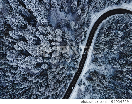 Pine trees covered with snow. Highway through the winter forest, aerial drone view Pine trees covered with snow. Highway through the winter forest, aerial drone view 94934799