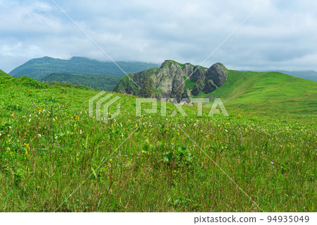 beautiful landscape of Kunashir island with grassy hills and basalt rocks, focus on near forbs beautiful landscape of Kunashir island with grassy hills and basalt rocks, focus on near forbs 94935049