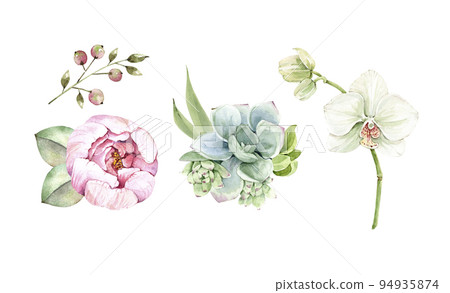 set of watercolor illustrations of flowers on a white background. for design and invitations. set of watercolor illustrations of flowers on a white background. for design and invitations. 94935874
