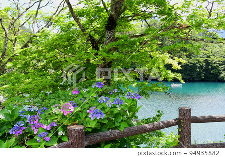 岩手縣栗駒國定公園、金州栗駒山、諏訪高原溫泉 94935882