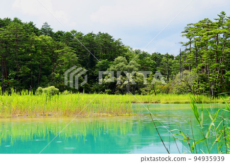 福島縣萬代山五色沼湖自然步道綠沼 94935939