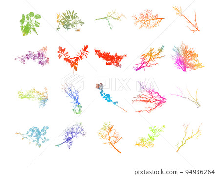 A set of tree colorful branches. autumn branches Vector illustration A set of tree colorful branches. autumn branches Vector illustration 94936264
