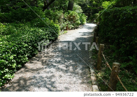 Gotenyama Teien Taki, Shinagawa-ku, Tokyo, Japanese garden, tea room, pond, forest, forest, flower walk, 24 hours free, July 2021 94936722