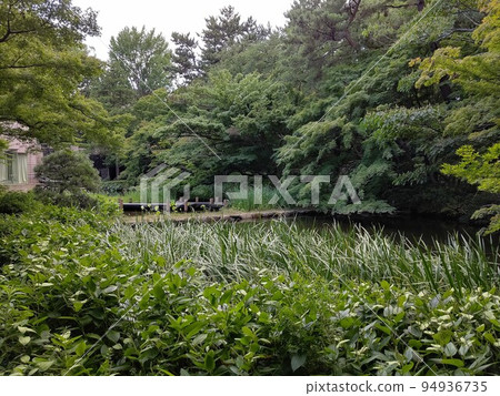 Gotenyama Teien Taki, Shinagawa-ku, Tokyo, Japanese garden, tea room, pond, forest, forest, flower walk, 24 hours free, July 2021 94936735