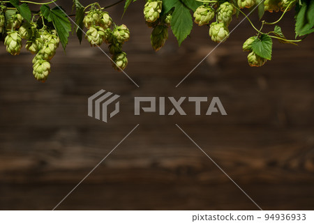 Frame of fresh hops on vintage wooden background Frame of fresh hops on vintage wooden background 94936933
