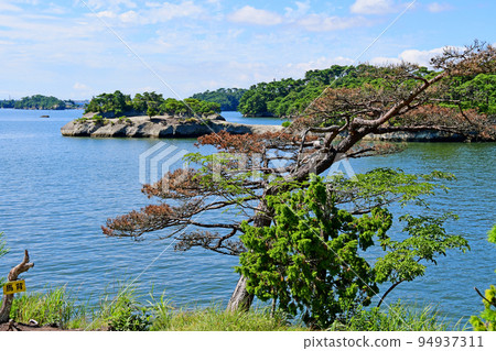 宮城縣、松島灣、裡府町、赤沼、日番澤、Kouma 94937311