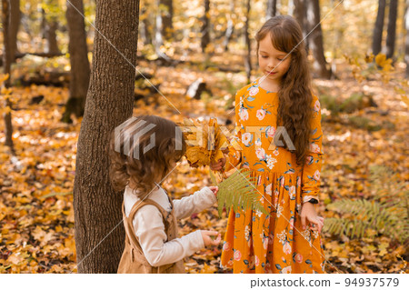 Happy children playing in beautiful autumn park on warm sunny fall day. Little sisters play with golden maple leaves - fun, leisure and childhood concept 94937579