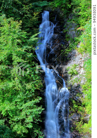 公民森林的三頭Otaki 94938091