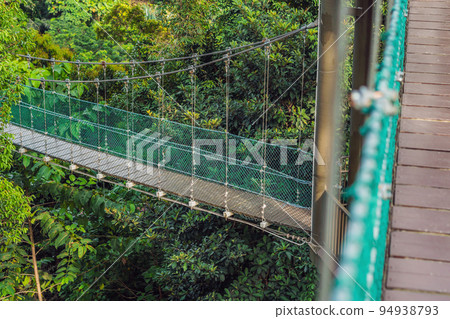 Suspension bridge over the forest in Kuala Lumpur 94938793