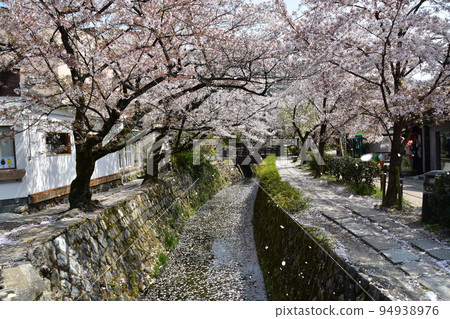 日本京都府銀閣寺附近的哲學之道 盛開的櫻花、溪流和長廊 櫻花在風中翩翩起舞,水面上漂浮著花瓣的花筏 日本京都府銀閣寺附近的哲學之道 盛開的櫻花、溪流和長廊 櫻花在風中翩翩起舞,水面上漂浮著花瓣的花筏 94938976