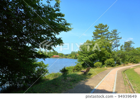 Early summer landscape Early summer landscape 94939649