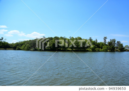 Early summer landscape Early summer landscape 94939650