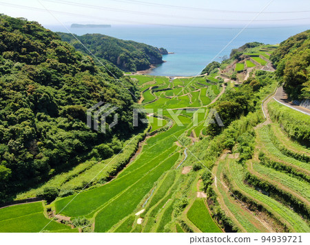 Aerial view of the terraced rice fields of Hamanoura, a view point in Genkaicho Aerial view of the terraced rice fields of Hamanoura, a view point in Genkaicho 94939721