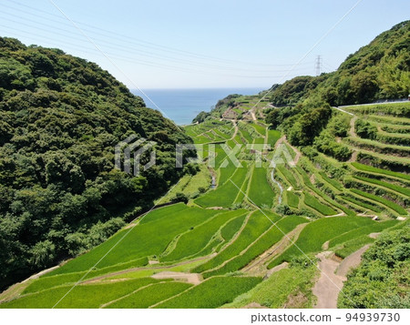 Aerial view of the terraced rice fields of Hamanoura, a view point in Genkaicho Aerial view of the terraced rice fields of Hamanoura, a view point in Genkaicho 94939730