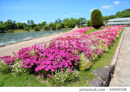 Early summer flower bed 94940596