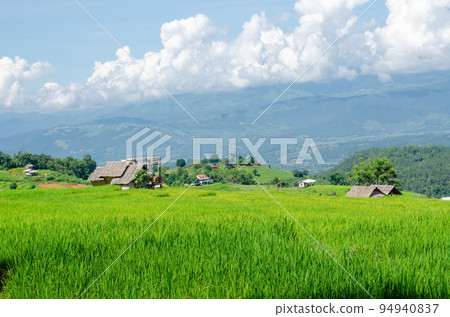 Green rice terrace field at Pa Pong Piang village in Chiang Mai, Thailand Green rice terrace field at Pa Pong Piang village in Chiang Mai, Thailand 94940837