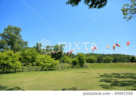 Early summer landscape Early summer landscape 94941589