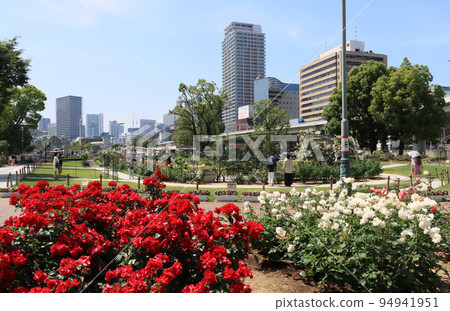 Osaka City Nakanoshima Rose Garden Osaka City Nakanoshima Rose Garden 94941951