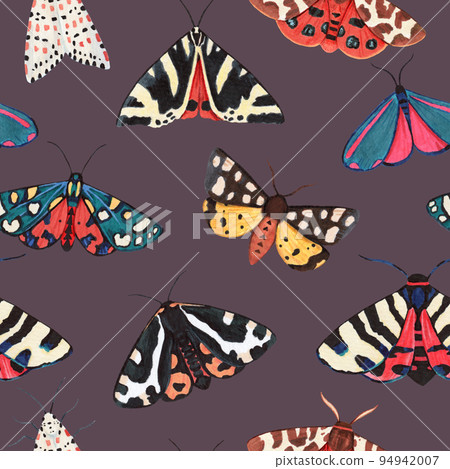 Seamless pattern with garden tiger moths, Arctiidae family. Watercolor illustration of beautiful night mots, detailed and isolated on white background Seamless pattern with garden tiger moths, Arctiidae family. Watercolor illustration of beautiful night mots, detailed and isolated on white background 94942007