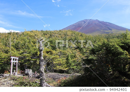 富士山奧輪自然公園的天狗岩 94942401