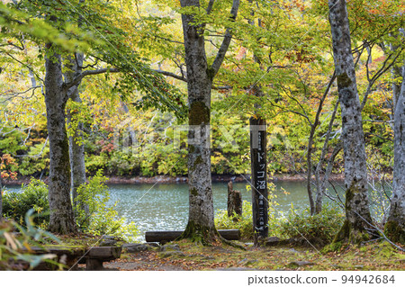 秋天的獨港沼澤(西藏王)紅葉風景山形縣山形市 秋天的獨港沼澤(西藏王)紅葉風景山形縣山形市 94942684