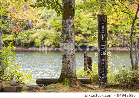 Dokko Swamp in Autumn (Nishi-Zao) Fall Foliage Scenery Yamagata City, Yamagata Prefecture 94942686