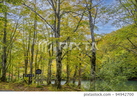 Dokko Swamp in Autumn (Nishi-Zao) Fall Foliage Scenery Yamagata City, Yamagata Prefecture Dokko Swamp in Autumn (Nishi-Zao) Fall Foliage Scenery Yamagata City, Yamagata Prefecture 94942700