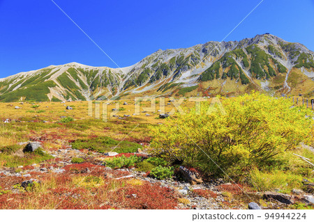 立山黑部阿爾卑斯山脈路線秋色盛開 從室堂平出發的立山山脈 立山黑部阿爾卑斯山脈路線秋色盛開 從室堂平出發的立山山脈 94944224