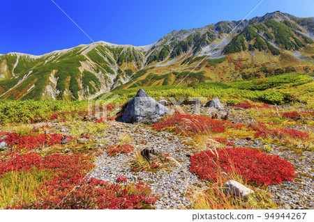 立山黑部阿爾卑斯山脈路線秋色盛開 從室堂平出發的立山山脈 立山黑部阿爾卑斯山脈路線秋色盛開 從室堂平出發的立山山脈 94944267