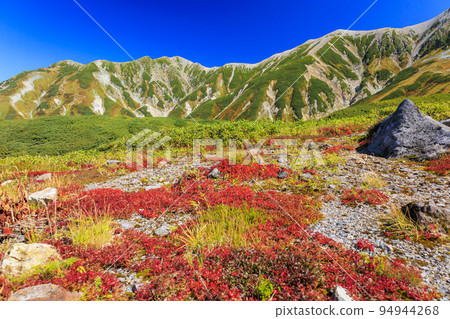 Tateyama Kurobe Alpine Route in full bloom in autumn colors Tateyama mountain range from Murododaira 94944268