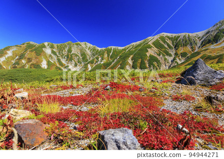立山黑部阿爾卑斯山脈路線秋色盛開 從室堂平出發的立山山脈 立山黑部阿爾卑斯山脈路線秋色盛開 從室堂平出發的立山山脈 94944271