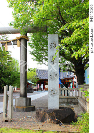 Asakusa Shrine 94945166