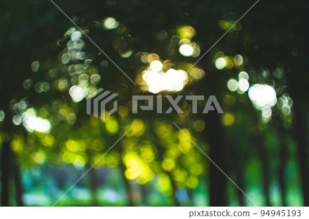Sunset in the garden out of focus. The texture is green with sun rays. 94945193