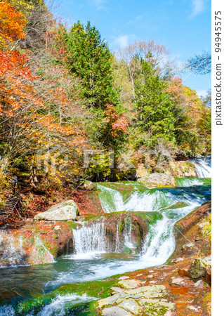 Yokoya Valley (Autumn): Mandarin Duck Hidden Waterfall 94945575