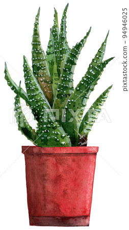 熱門多肉植物十二冊 94946025