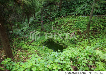 新潟縣村上城跡中世紀遺跡步行路線上的馬匹放鬆處 新潟縣村上城跡中世紀遺跡步行路線上的馬匹放鬆處 94946162