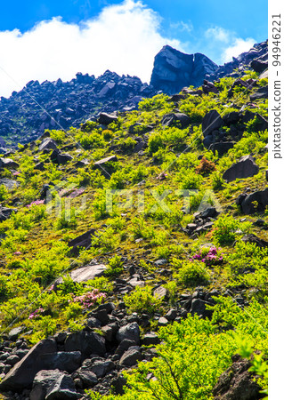 Heisei Shinzan from the fresh green of Tateiwa Peak [Unzen City, Nagasaki Prefecture] 94946221