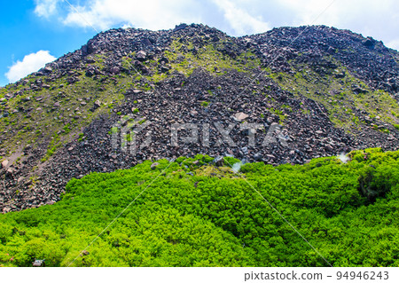 Heisei Shinzan from the fresh green of Tateiwa Peak [Unzen City, Nagasaki Prefecture] 94946243