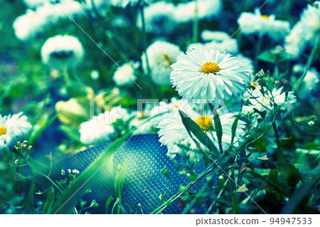 Ecology. Take care of our planet Earth. Wonderful daisies and an old shoe Ecology. Take care of our planet Earth. Wonderful daisies and an old shoe 94947533