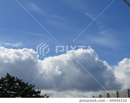 稻毛海藍天白雲 94948330