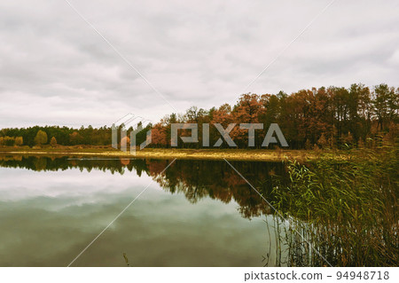 Calm serene expanse of the autumn lake and an orange forest on the shore Calm serene expanse of the autumn lake and an orange forest on the shore 94948718